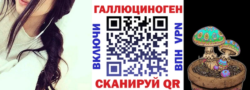 как найти   Алушта  Псилоцибиновые грибы мицелий 
