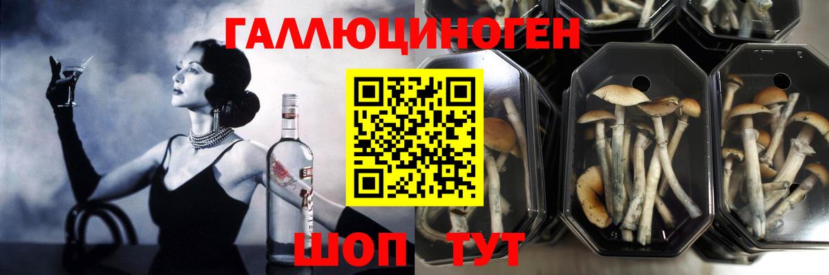 Псилоцибиновые грибы Psilocybe  купить закладку  Алушта  Вход с VPN 